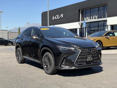 2024 Lexus NX NX 250
