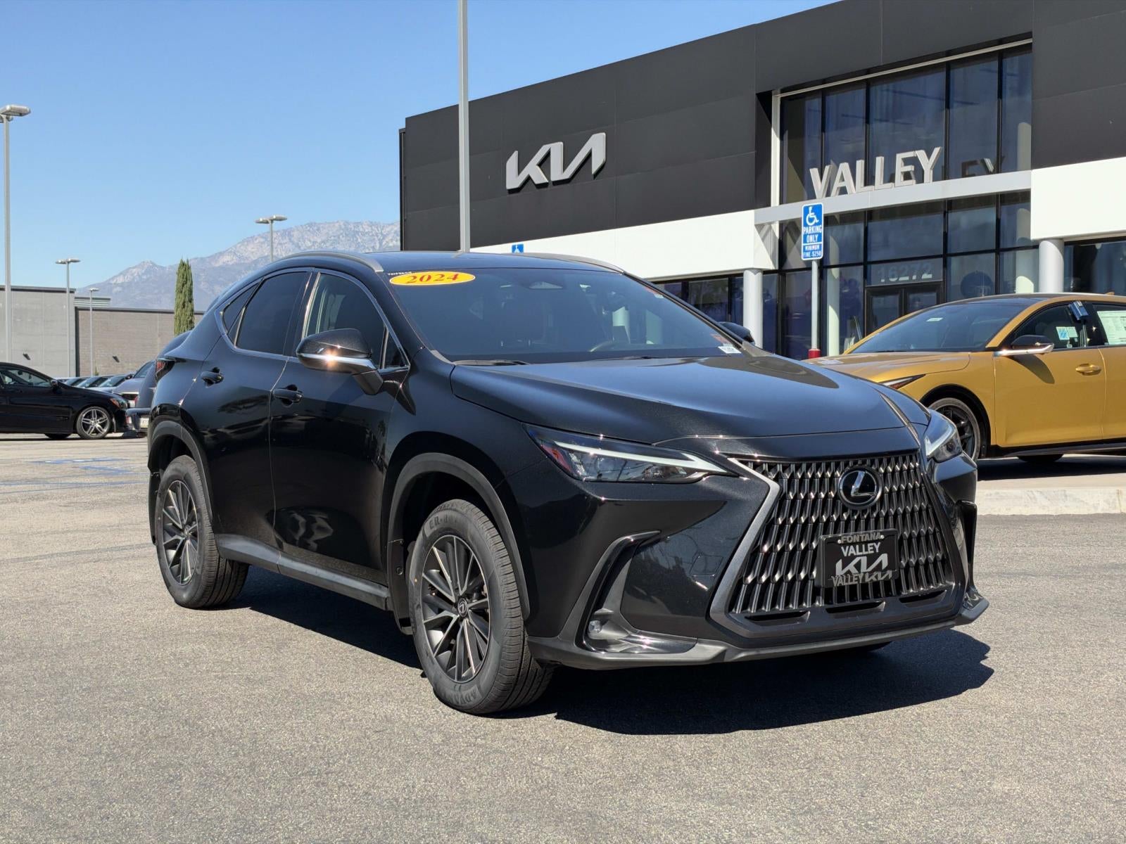 2024 Lexus NX NX 250