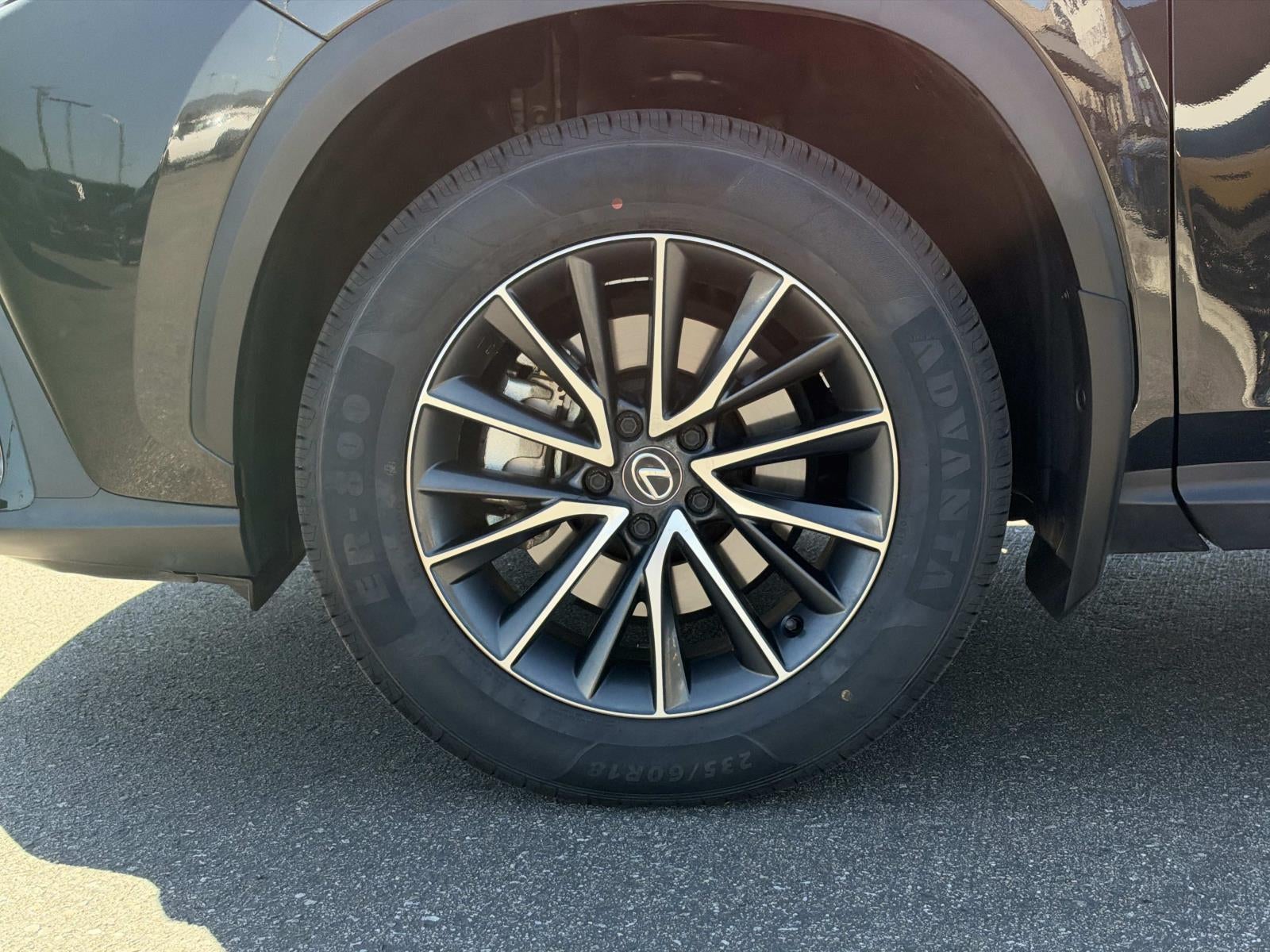 2024 Lexus NX NX 250