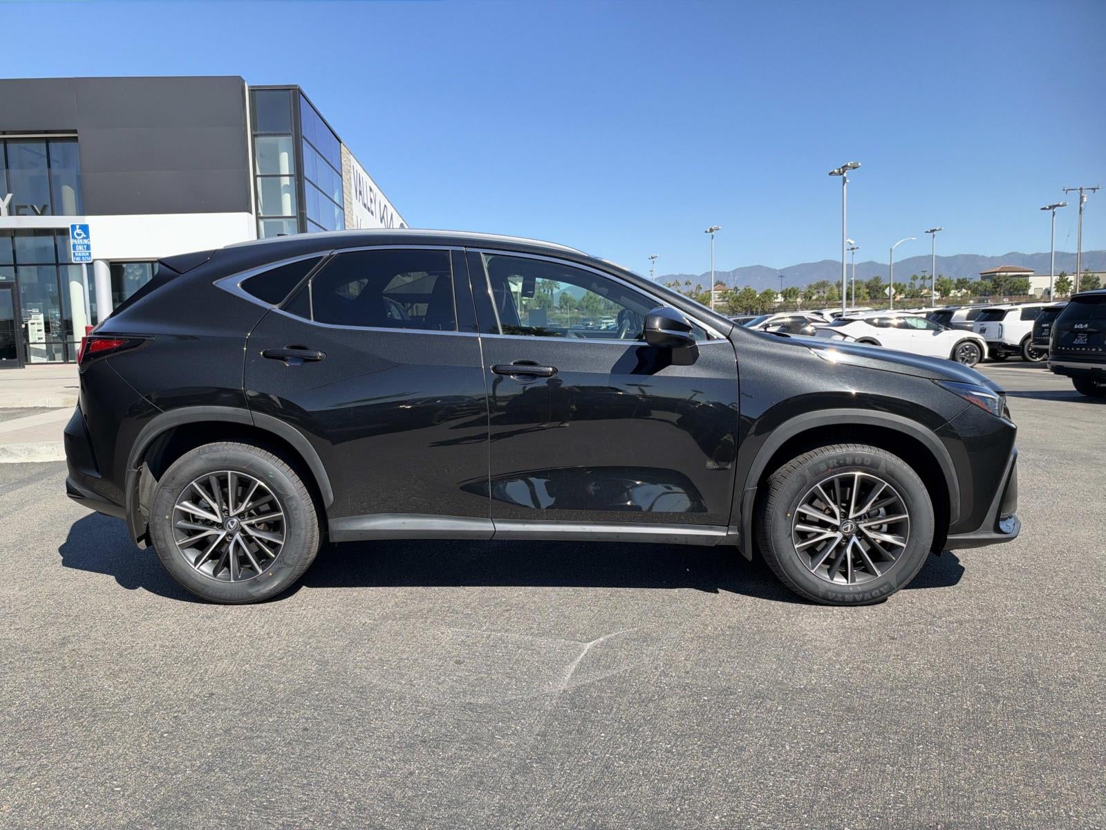 2024 Lexus NX NX 250