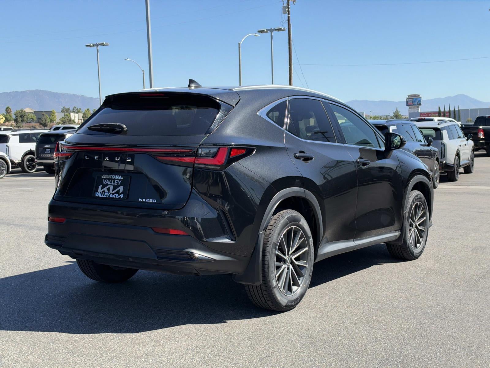 2024 Lexus NX NX 250