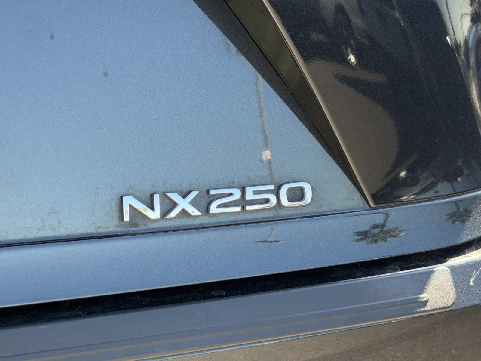 2024 Lexus NX NX 250