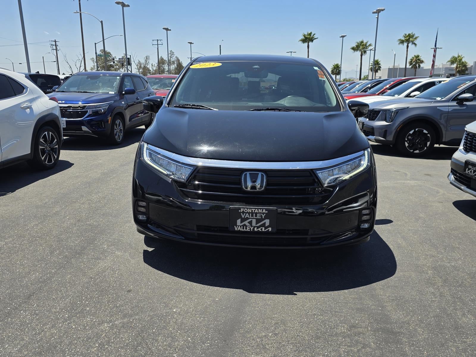 2023 Honda Odyssey Elite