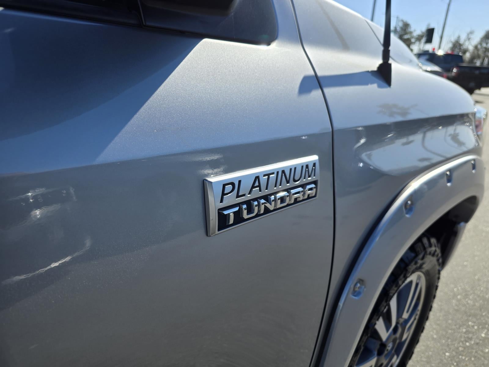 2019 Toyota Tundra 4WD Platinum